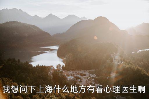 我想問下上海什么地方有看心理醫生啊