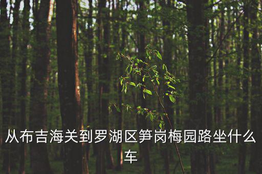 深圳市布吉海關到筍崗倉庫乘坐幾號地鐵啊，深圳羅湖筍崗倉庫怎么坐車到布吉