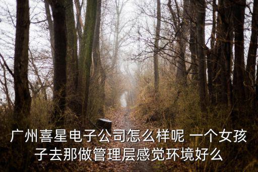 廣州喜星電子公司怎么樣呢 一個女孩子去那做管理層感覺環境好么