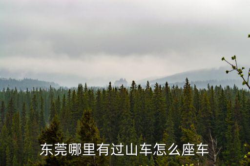 東莞哪里有過山車怎么座車