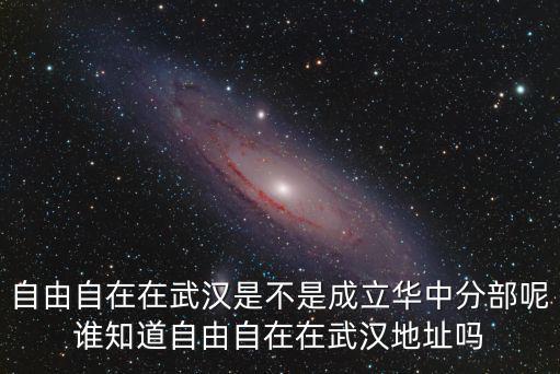 自由自在在武漢是不是成立華中分部呢誰知道自由自在在武漢地址嗎