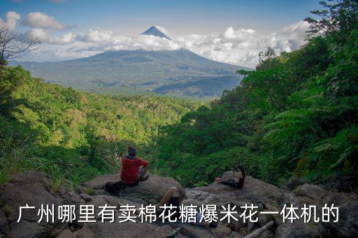 廣州哪里有賣棉花糖爆米花一體機的