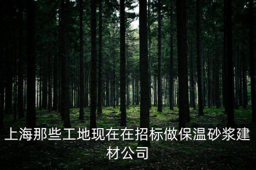上海市金山區砂漿，上海那些工地現在在招標做保溫砂漿建材公司