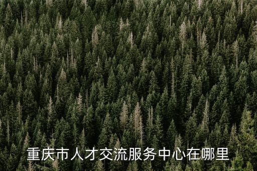 重慶市人才交流服務中心在哪里