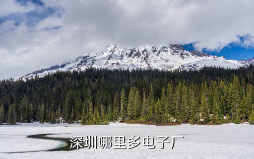 深圳哪里多電子廠