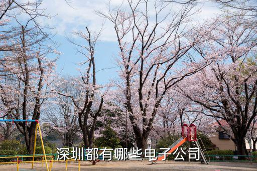 深圳都有哪些電子公司