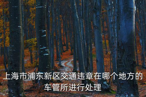上海市浦東新區交通違章在哪個地方的車管所進行處理