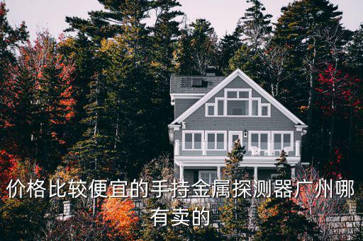 價格比較便宜的手持金屬探測器廣州哪有賣的