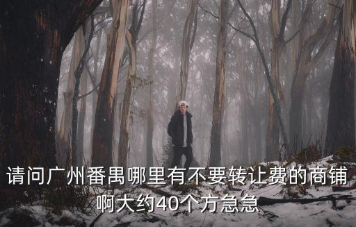 請問廣州番禺哪里有不要轉(zhuǎn)讓費的商鋪啊大約40個方急急