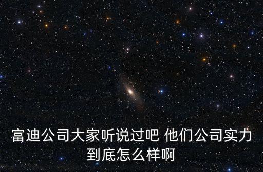 富迪公司大家聽說過吧 他們公司實力到底怎么樣啊