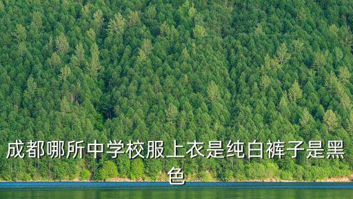 成都哪所中學校服上衣是純白褲子是黑色