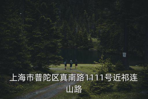 上海市普陀區(qū)真南路1111號近祁連山路