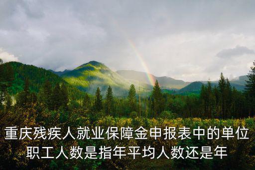 重慶殘疾人就業保障金申報表中的單位職工人數是指年平均人數還是年