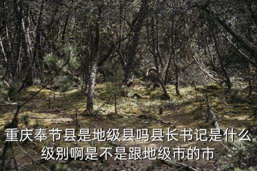 重慶市縣委書記行政級別，重慶市主城區區委書記行政級別是正廳還是副廳級