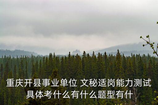 重慶市園區領導小組，重慶私家車報廢補貼在哪里辦理