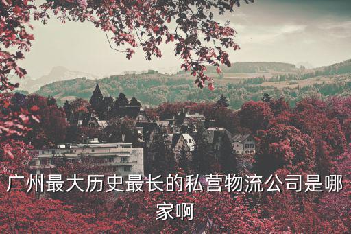廣州最大歷史最長的私營物流公司是哪家啊
