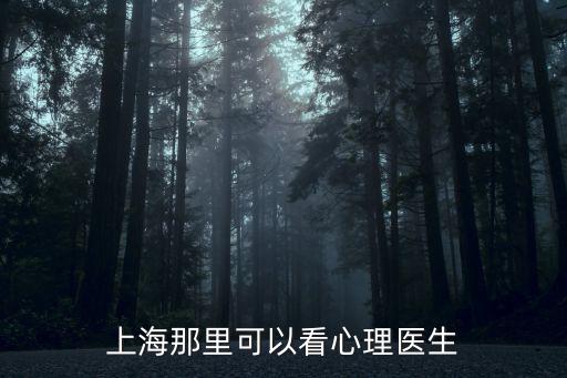 上海那里可以看心理醫生