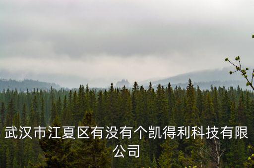 武漢市江夏區有沒有個凱得利科技有限公司