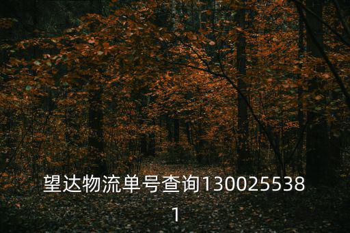 望達(dá)物流單號(hào)查詢1300255381