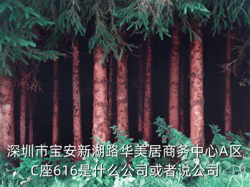 深圳市寶安新湖路華美居商務中心A區C座616是什么公司或者說公司