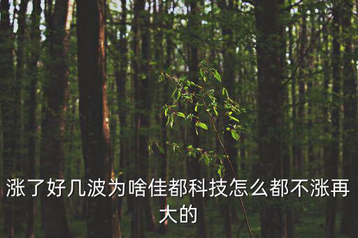 深圳佳都科技，佳都科技第二大股東是誰