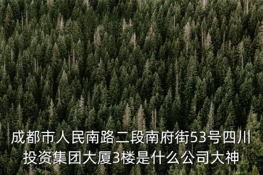 成都市人民南路二段南府街53號四川投資集團大廈3樓是什么公司大神