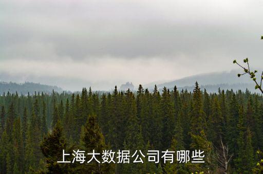 上海大數據公司有哪些