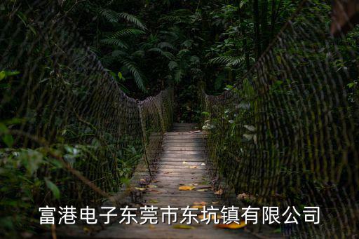富港電子東莞市東坑鎮有限公司