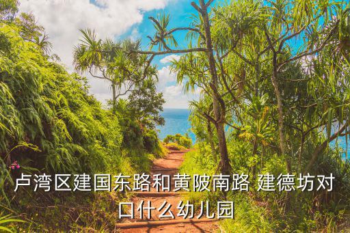 盧灣區建國東路和黃陂南路 建德坊對口什么幼兒園