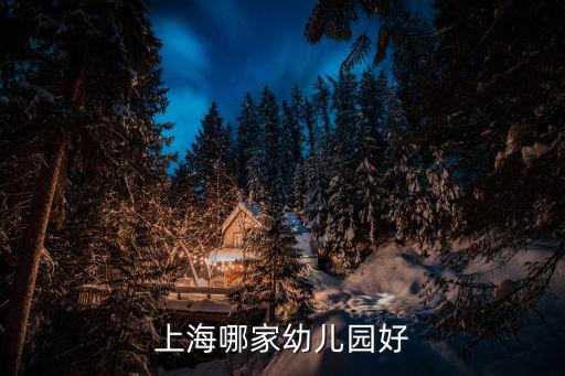 上海哪家幼兒園好