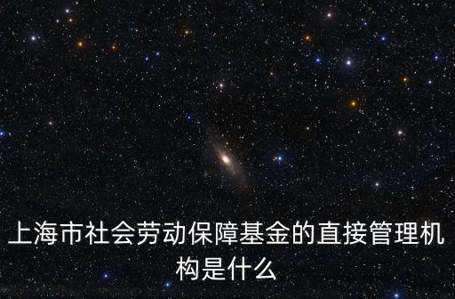 上海市社會勞動保障基金的直接管理機構是什么