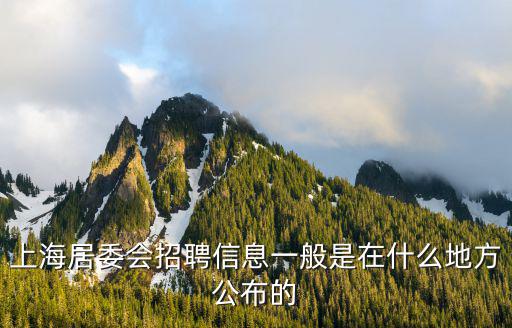 上海居委會招聘信息一般是在什么地方公布的