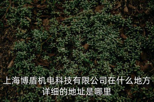 上海博盾機(jī)電科技有限公司在什么地方詳細(xì)的地址是哪里