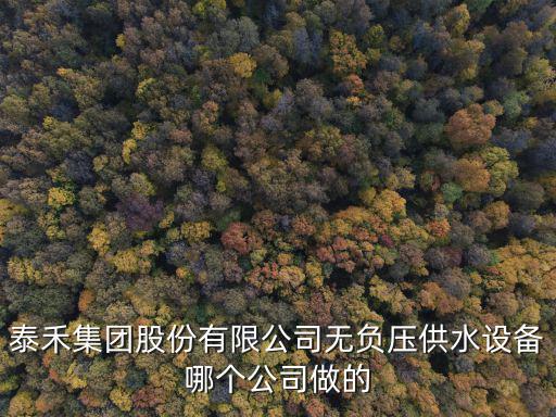 泰禾集團(tuán)股份有限公司無(wú)負(fù)壓供水設(shè)備哪個(gè)公司做的