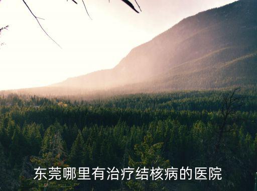 東莞哪里有治療結核病的醫院