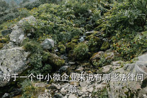 對于一個中小微企業來說有哪些法律問題