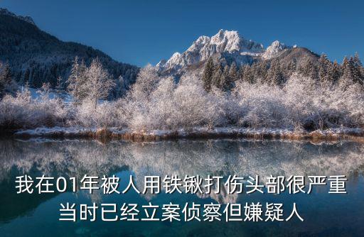 我在01年被人用鐵鍬打傷頭部很嚴重當時已經立案偵察但嫌疑人
