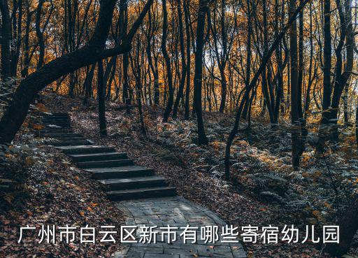 廣州市白云區新市有哪些寄宿幼兒園