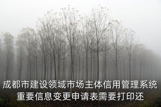 成都市建設領域市場主體信用管理系統(tǒng)重要信息變更申請表需要打印還