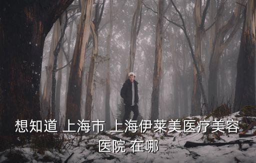 上海市臨  路，上海市長臨路屬于那個區(qū)