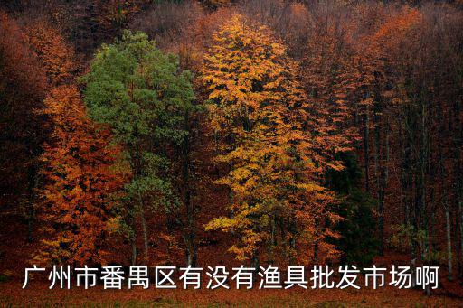 廣州市番禺區有沒有漁具批發市場啊