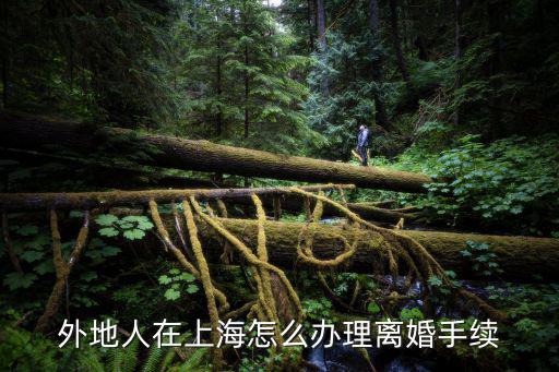 外地人在上海怎么辦理離婚手續