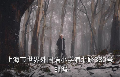 上海市世界外國語小學浦北路380號 郵編
