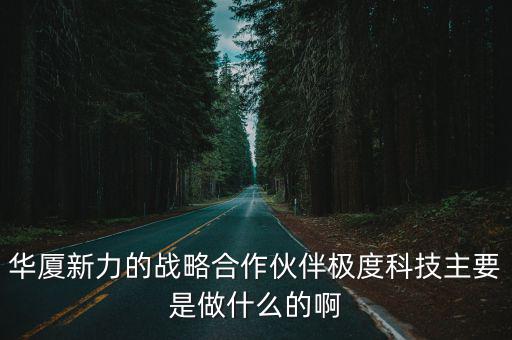 華廈新力的戰略合作伙伴極度科技主要是做什么的啊