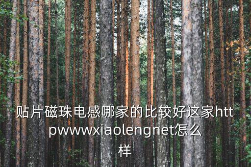 貼片磁珠電感哪家的比較好這家httpwwwxiaolengnet怎么樣