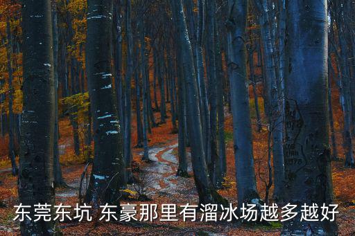 東莞東坑 東豪那里有溜冰場越多越好