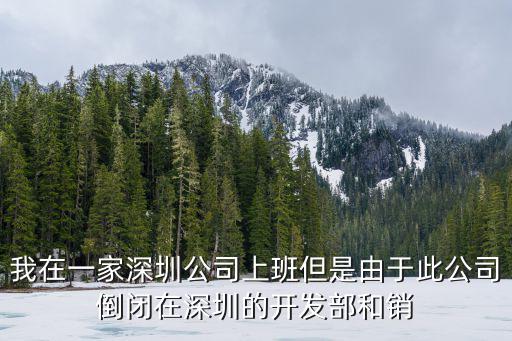 我在一家深圳公司上班但是由于此公司倒閉在深圳的開發(fā)部和銷