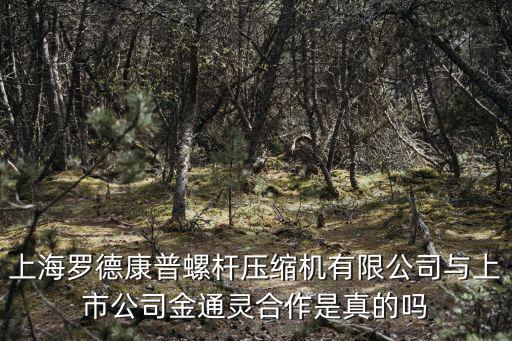 上海市康凌壓縮機，有誰知道上海康凌汽車用品地址和電話嗎