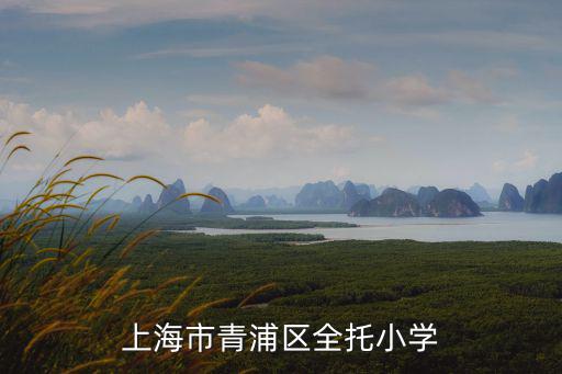 上海市青浦區全托小學