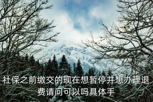 社保之前繳交的現在想暫停并想辦理退費請問可以嗎具體手
